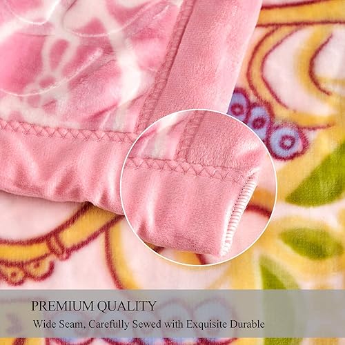 Miniatura 7 de JML - Manta de felpa de raschel, manta de visón coreano, suave, 2 capas de forro polar impreso