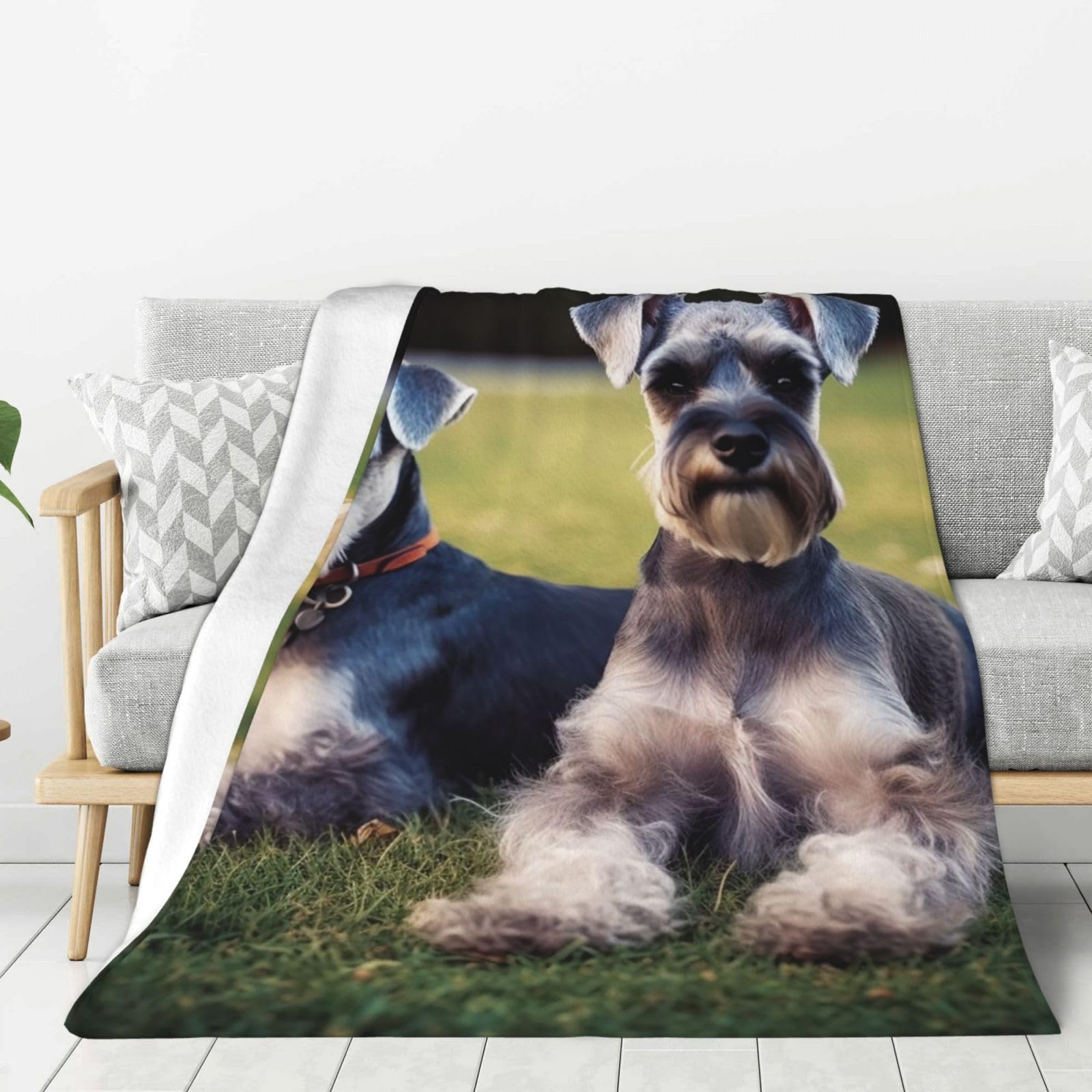 Adult Schnauzer Dogs Throw Blanket Plush Flannel Fleece Blanket, Soft Lightweight Cozy Blankets 50"X40" for Bed Couch Sofa Travel