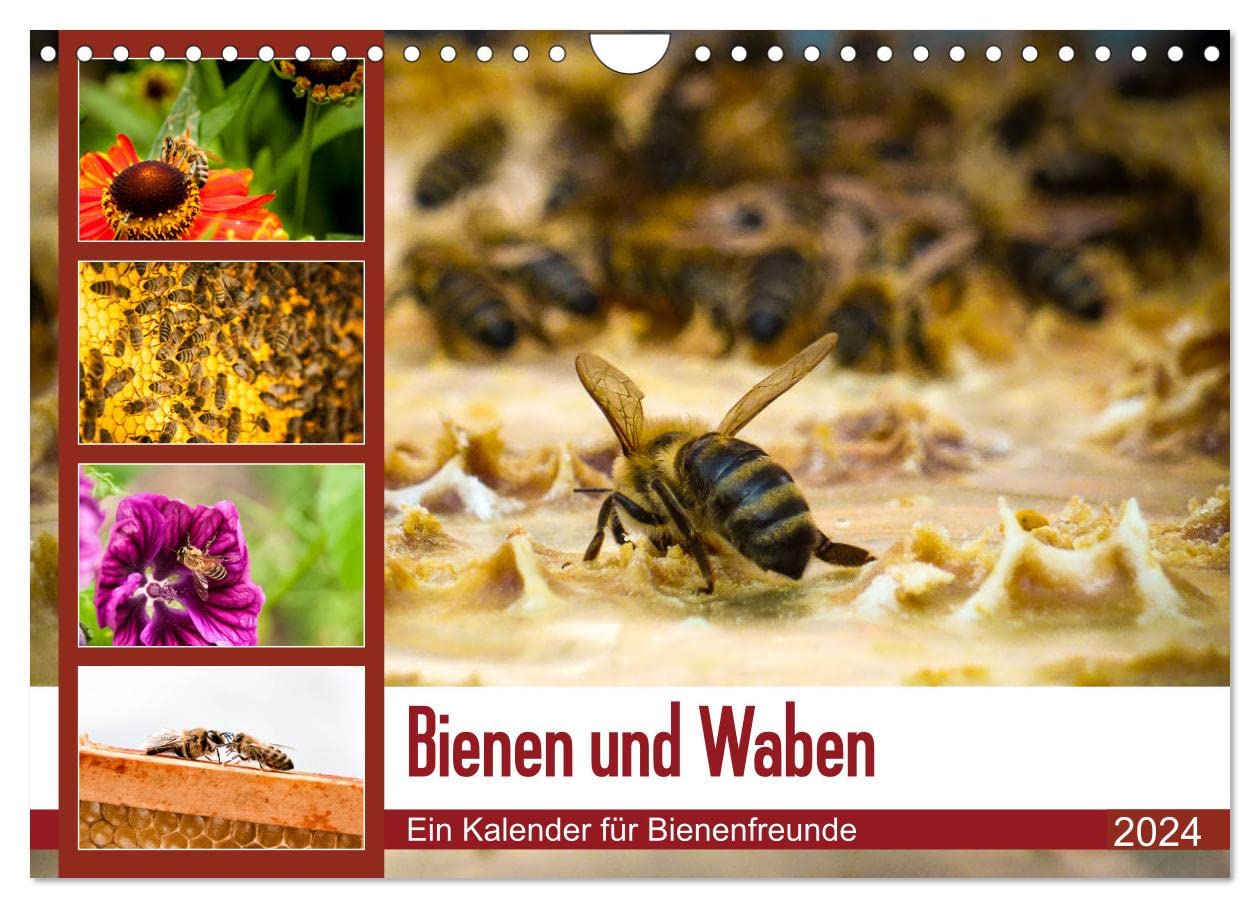 CALVENDOBees and honeycombs (Wall Calendar 2024 DIN A4 Landscape), CALVENDO 12 Month Wall Calendar