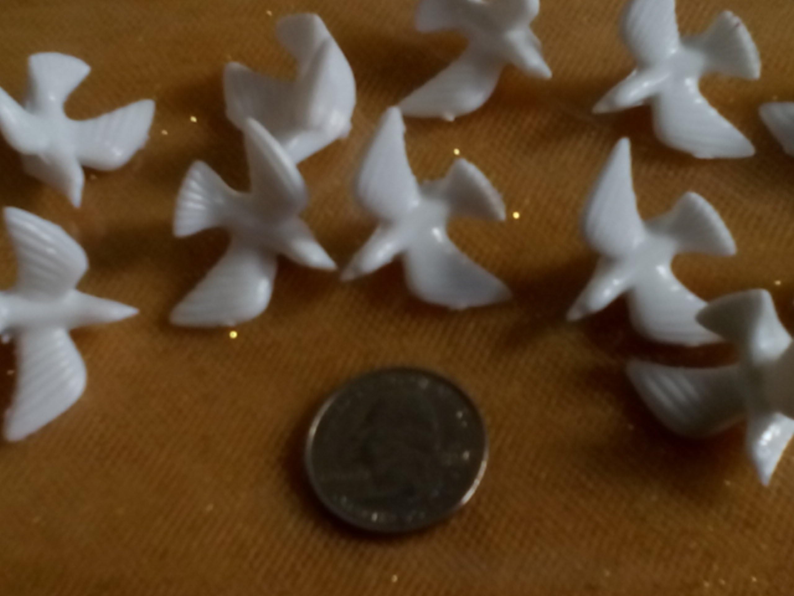 Dove, Plastic, 1 1/4", Pure White, Pack of 144 …