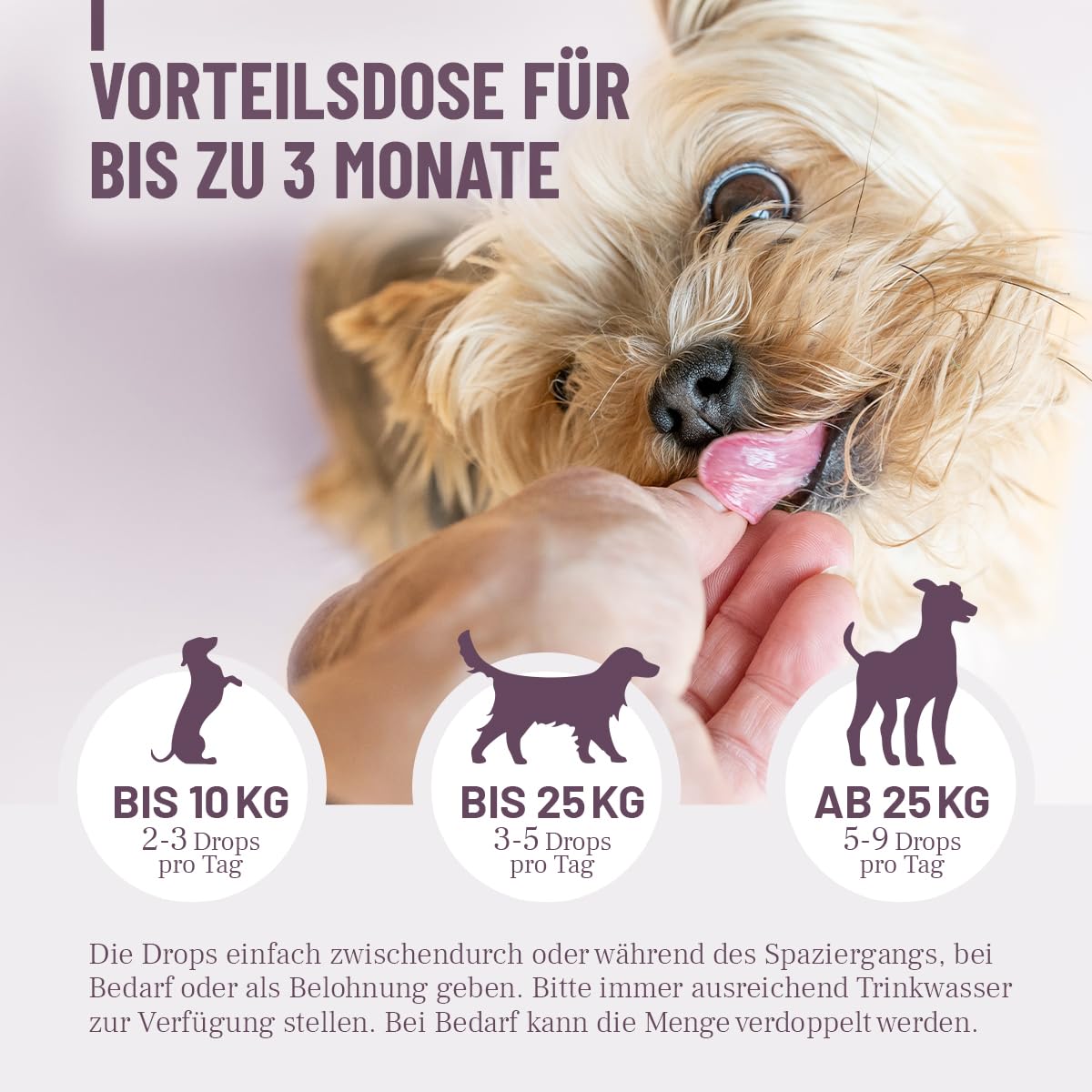 ReaVET Feste Häufchen Drops – Ergänzungsfuttermittel für Hunde bei Neigung zu Durchfall & weichem Kot – Hundesnack mit Aktivkohle zur Unterstützung der Verdauung & normalen Kotkonsistenz 350g (180Stk)