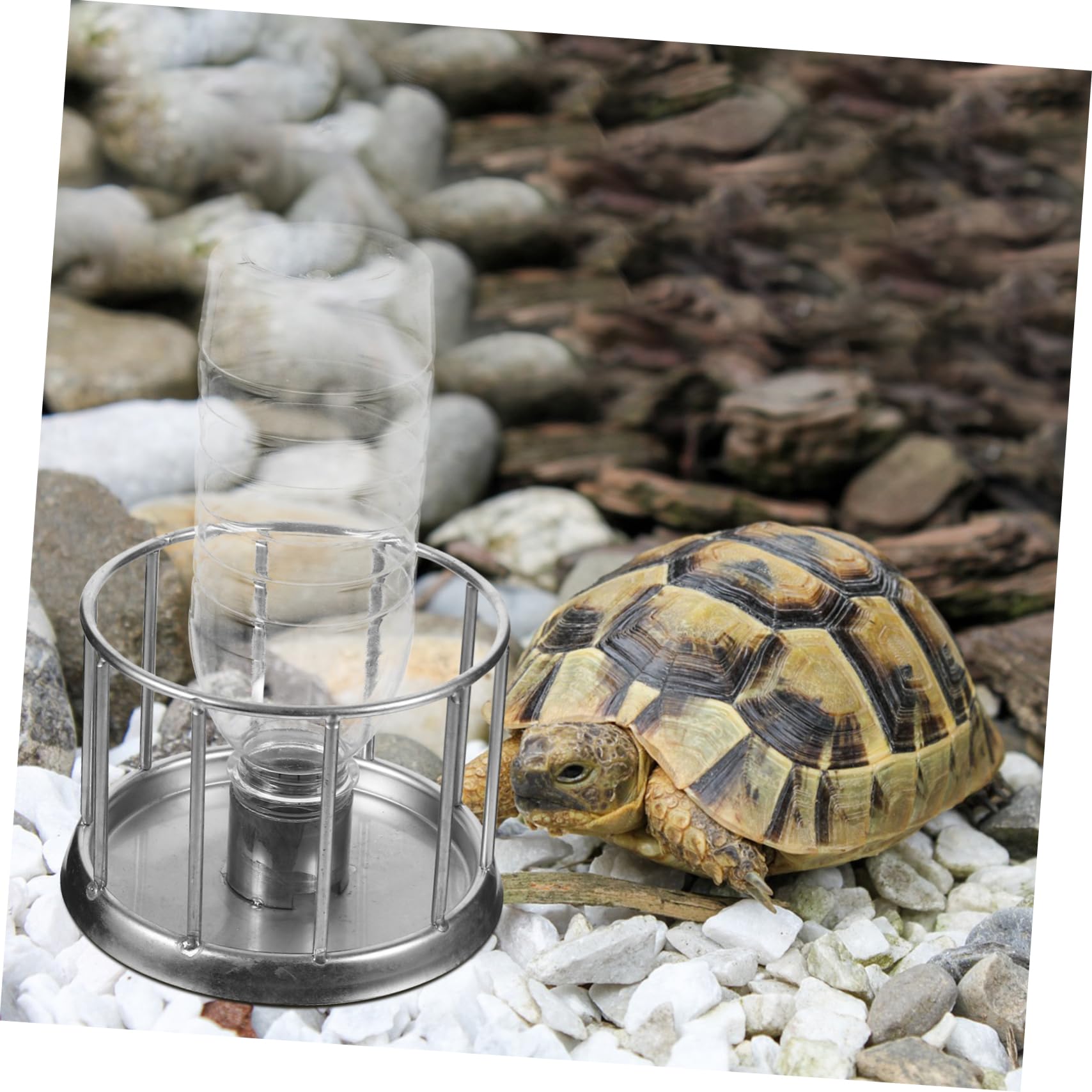 INOOMP 4pezzi Ciotola per Tartarughe Inossidabile Multifunzionale per Rettili Abbeveratoio e Ciotola per Design Anti-Splash Mini Feeder per e Terrario e Resistente