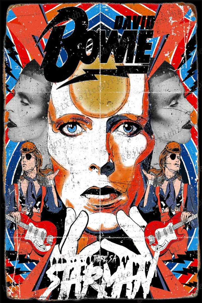 Plaque Métal Vintage David Bowie – Décoration Murale Pub, Bar, Salon – 30x40 Cm - 2