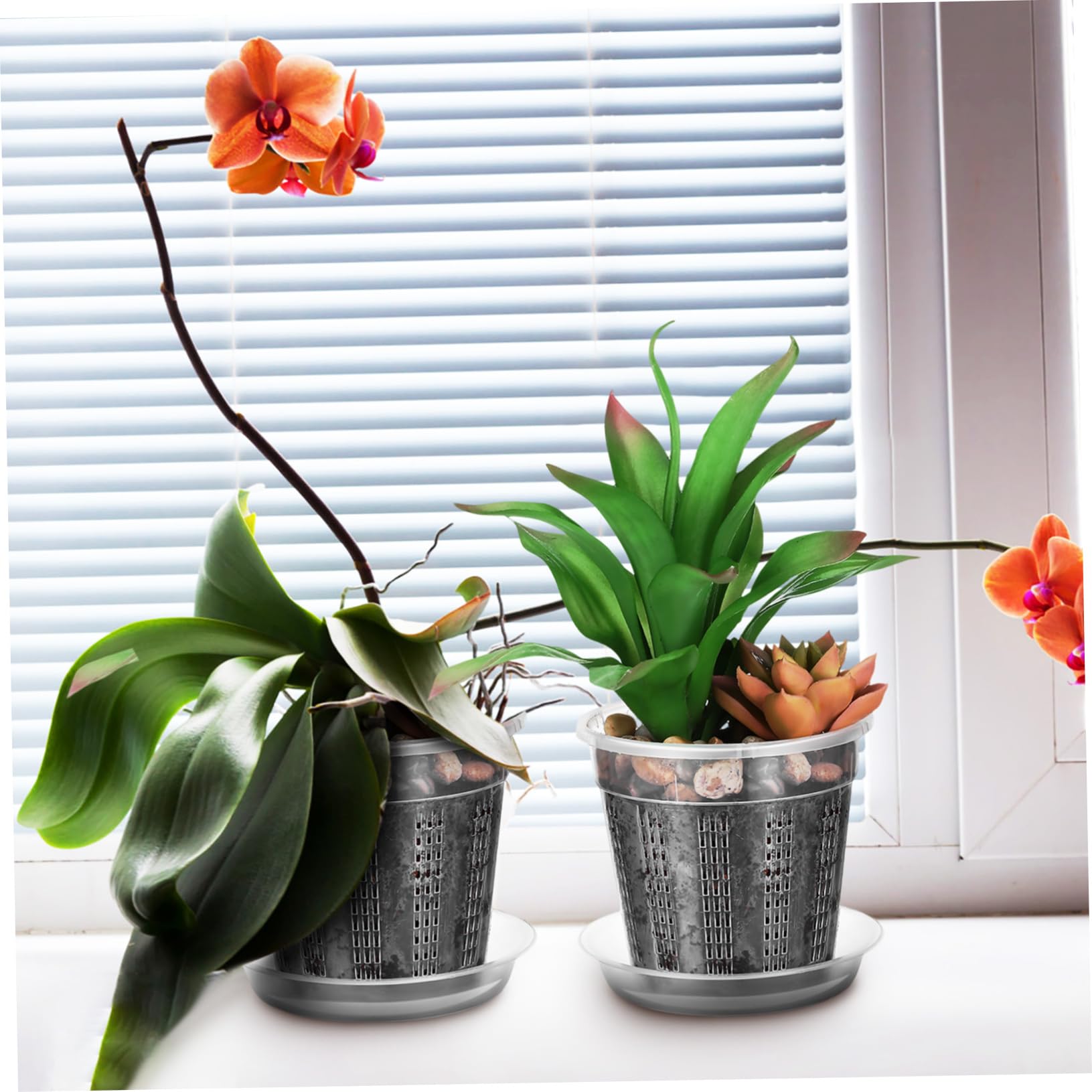 Happyyami 2 Ensembles Lot Pots Orchidées Plastique Transparent avec Drainage Et Saucers Pots Fleurs Ventilés Creux Convient Intérieur Extérieur pour Fraisiers Et Plantes Variées 8 Pièces * 2