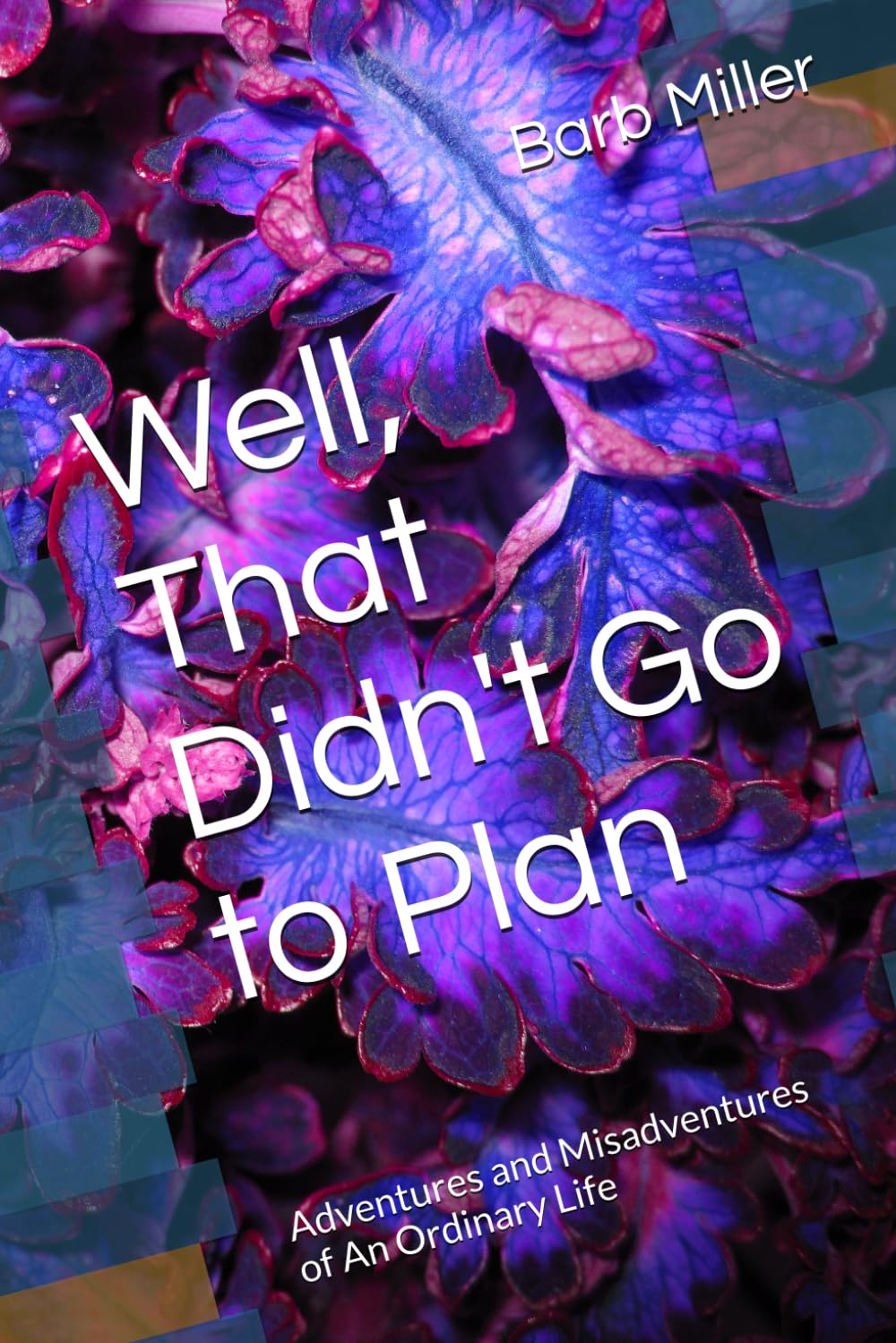 Well, That Didn't Go to Plan: Adventures and Misadventures of An Ordinary Life