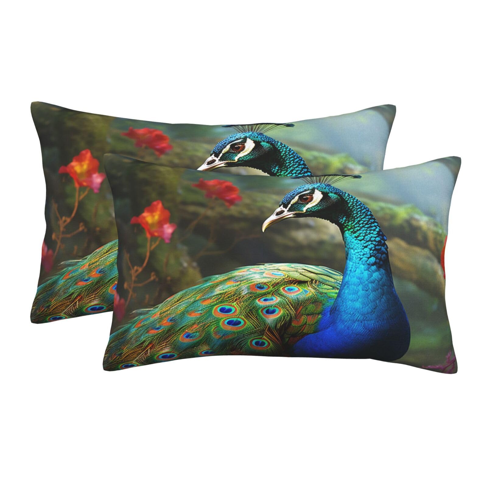 2 Pack Standard Size Pillow Cases for Hair and Skin Soft Breathable Pillow Case Covers with Hidden Zipper Colorful Peacock Pillowcase 16"x24" Pillow Cover for Sleeping Gift