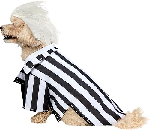 Vista 3 de Rubies Costume Company disfraz de Beetlejuice para mascotas, M, Negro, blanco