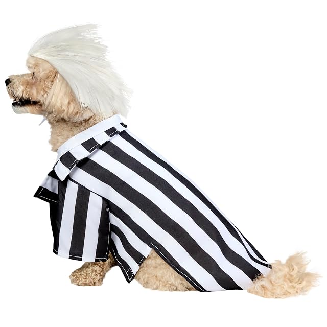 Foto 4 de 6 de Rubie's Disfraz Unisex para Adulto, Disfraz Oficial de Rubie s Beetlejuice de Halloween para Perro, Talla S