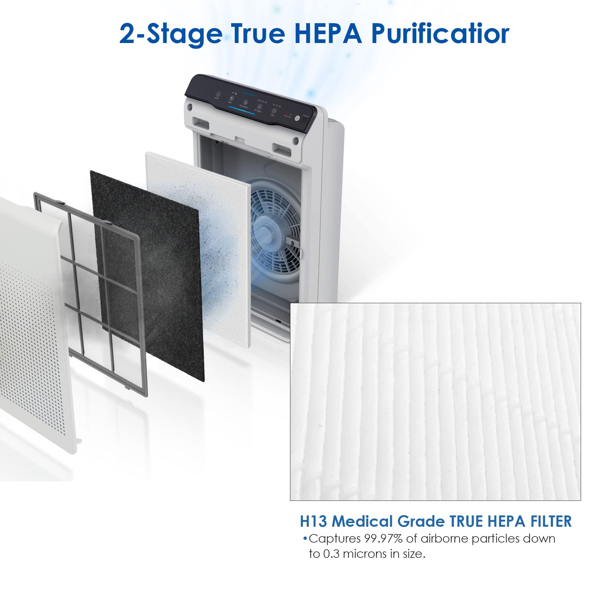 新政　紫舟　No.6 Sisyu-type Flintar 115115 True HEPA Filter A, Made in TAIWAN