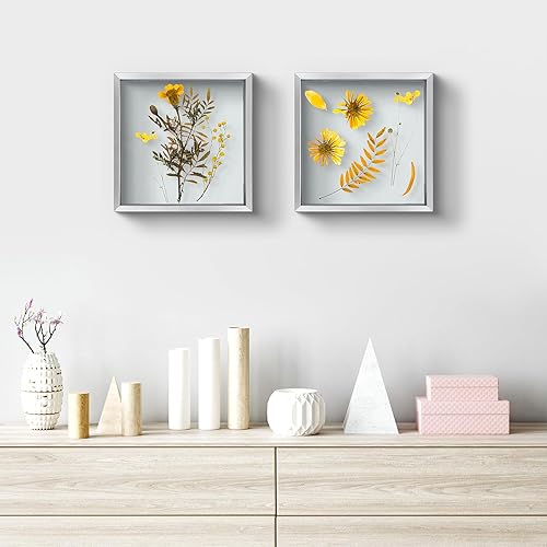 Vista 101 de Frametory, Marco de fotos flotante de 16 x 20 pulgadas, marco de fotos de metal, cristal real, para montaje en pared o mesa (negro, paquete de 2)