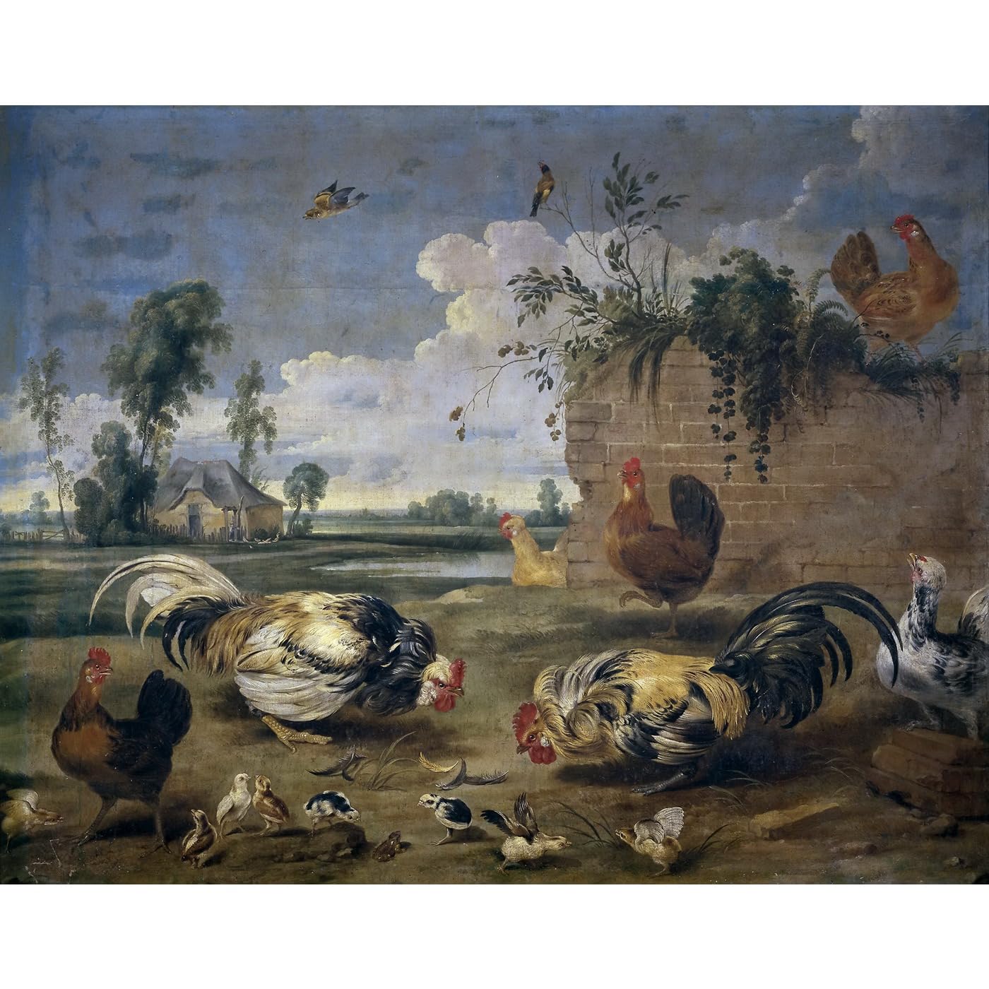 Toile roulée Combat de coqs aux couleurs résistantes à la décoloration Prado