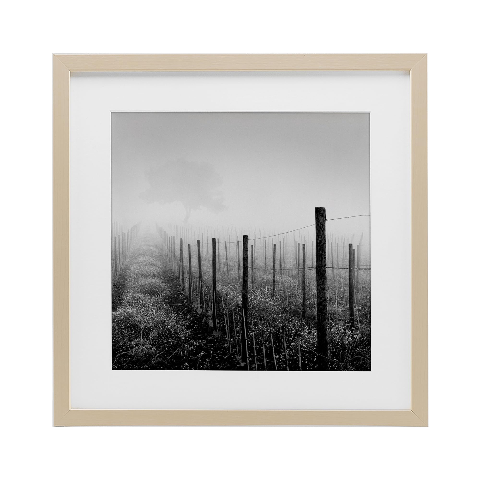 Affiche Vineyard At Dawn tableau encadré verre design noir et blanc 33cm