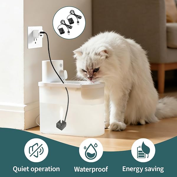 2 Pièces Mini Pompe a eau Submersible USB, DC 5V 1-3W 200L/H Mini Pompe Aquarium Ultra Silencieuse, Micro Pompes pour Fontaine, Abreuvoir Animaux, Hydroponie, Bassin, Jardin d’Eau Intérieur Extérieur - 4