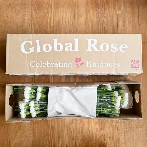 Miniatura 3 de GlobalRose 100 flores blancas de clavel  Claveles al día siguiente flores frescas para entrega Prime  Ramo fresco seleccionado a mano para