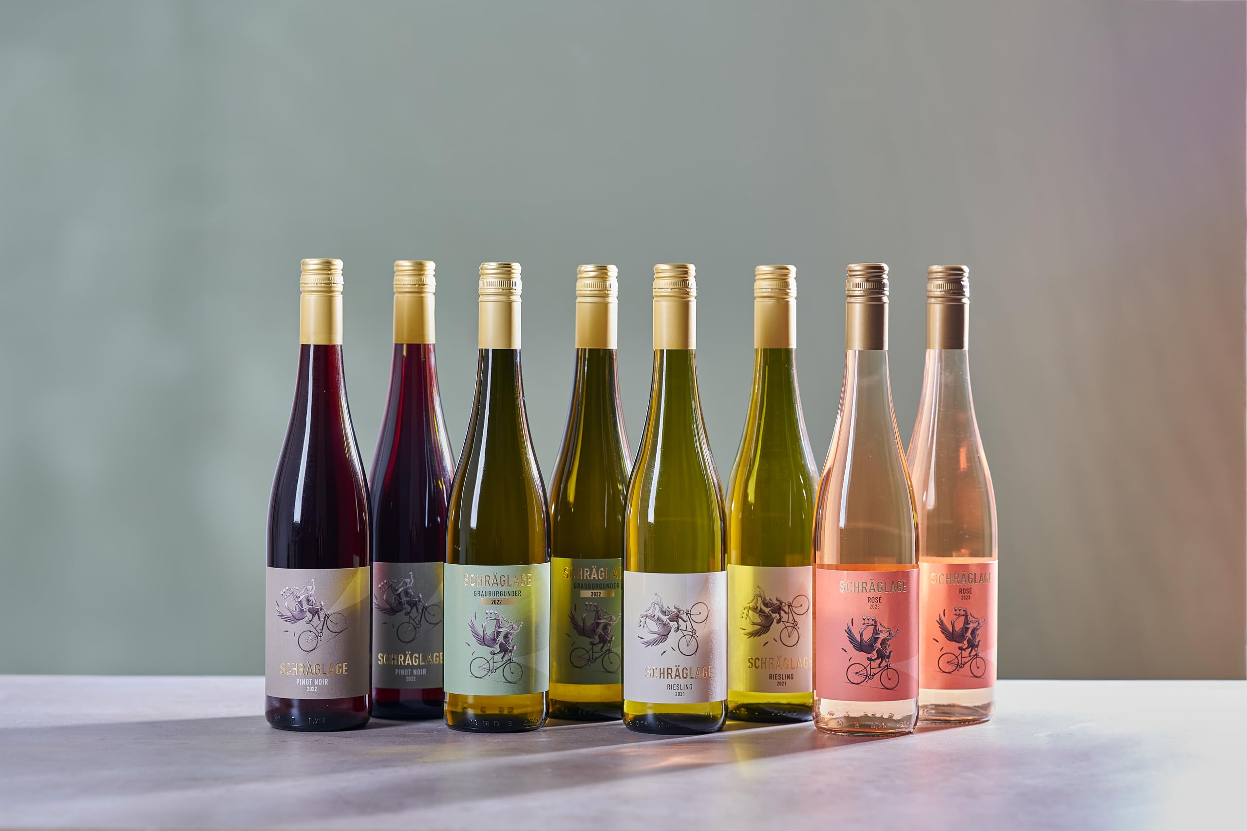 Schräglage Grauburgunder QbA trocken Weißwein Rheinhessen trocken (6 x 0.75l)