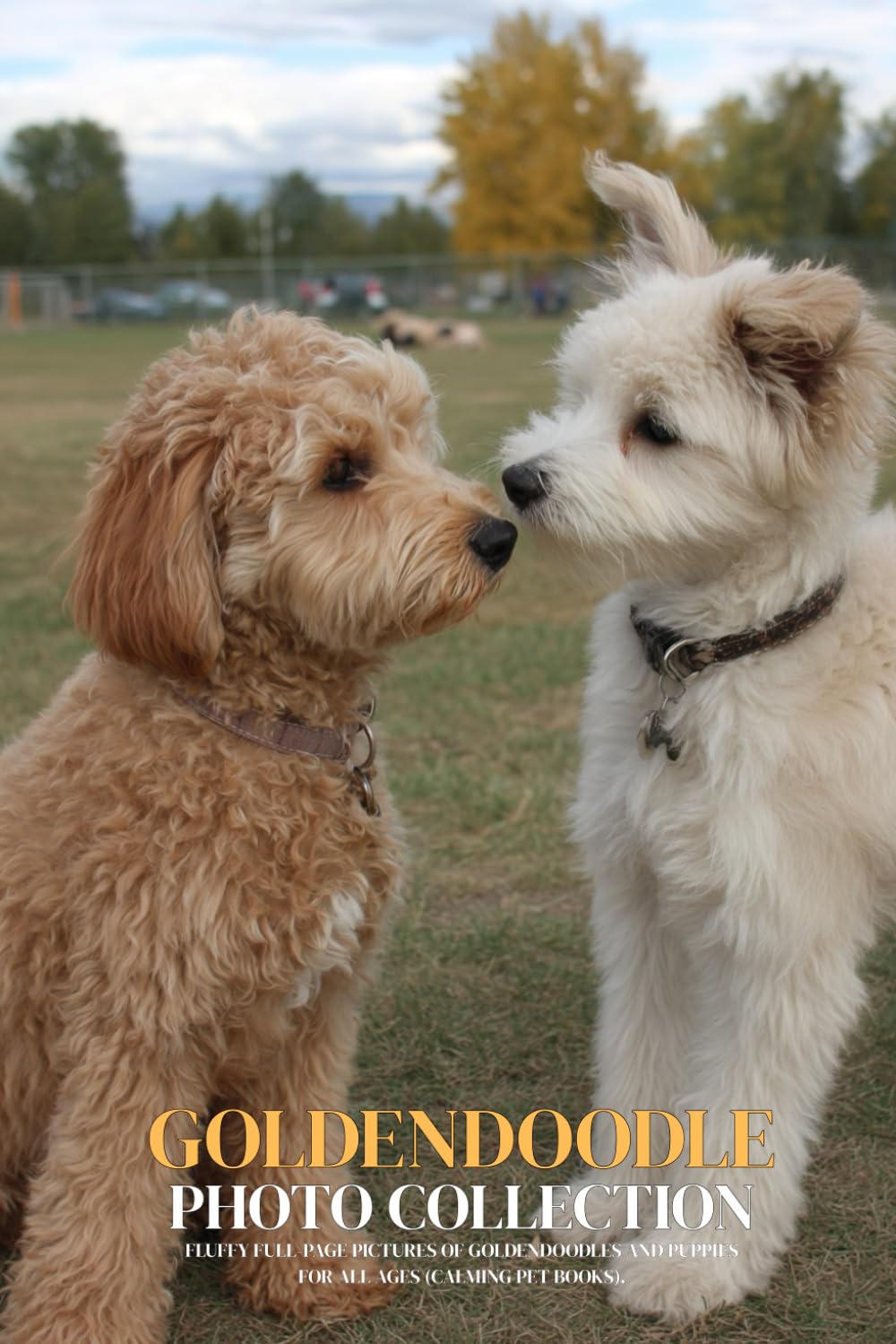 Goldendoodle Photo Collection: Fluffy Full-Page Pictures of Goldendoodles and Puppies for All Ages (Calming Pet Books).