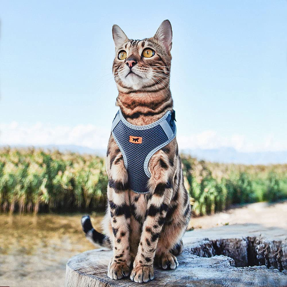 Ferplast Small Dog Harness NIKITA XS, Breathable Cat Harness, Padded and Adjustable, Easy to Wear, Reflective Edges - Image 4