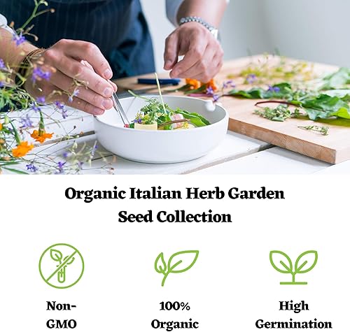 Miniatura 4 de Colección de semillas de jardín de hierbas italianas orgánicas, 5 paquetes de semillas orgánicas sin OMG, orégano, tomillo, albahaca, salvia,