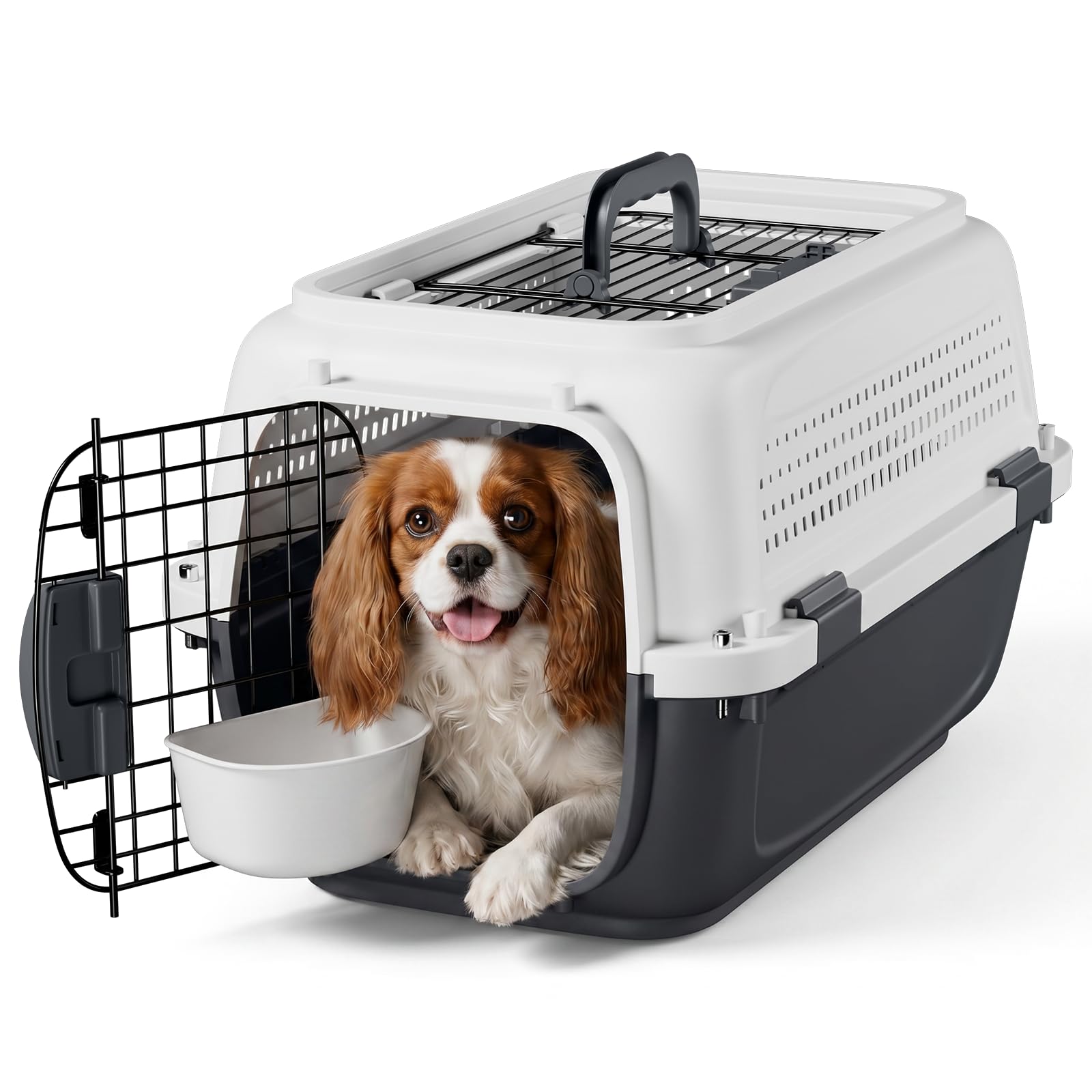 22 Inch Hard-Sided Dog Cat Carrier, Grey