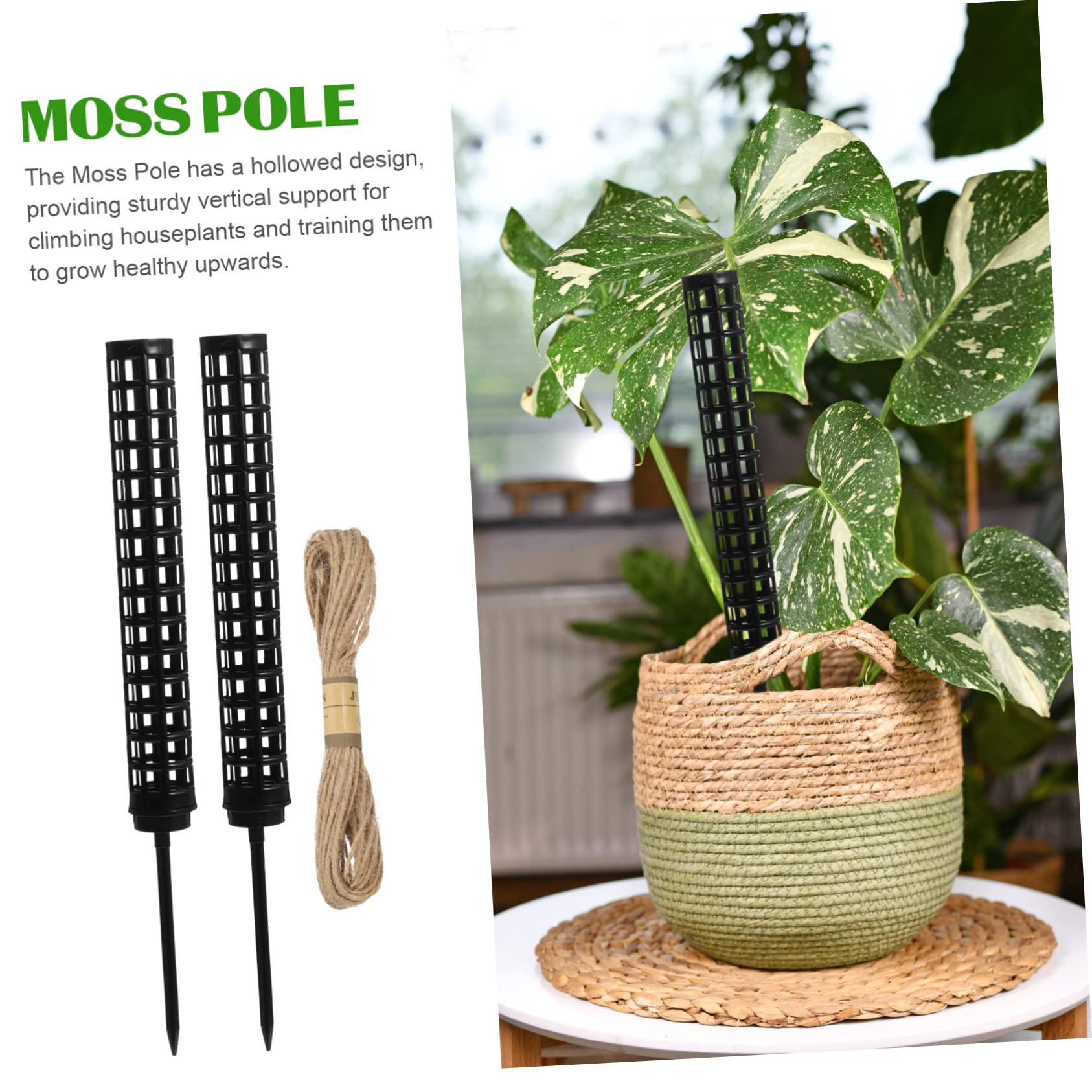 Happyyami 6stücke Moosstäbe Für Pflanzen Hohe Rankhilfe Seil Für Kletterpflanzen Und Zimmerpflanzen Für Monstera Efeutute Und