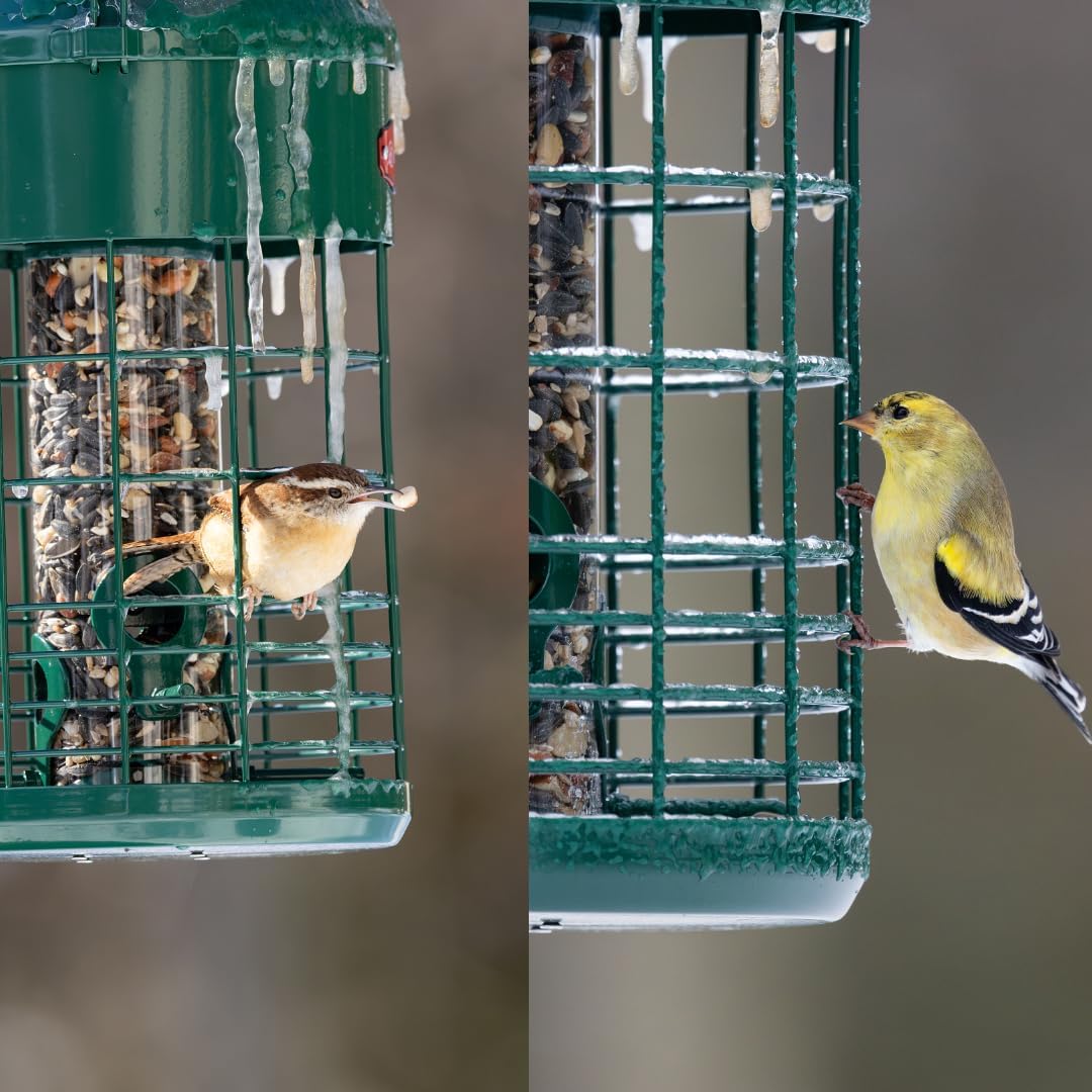 Kingsyard Upgraded Squirrel Proof Caged Bird Feeder for Outdoor Hanging - Additional Storage Tube Bird Feeder with 4 Feeding Ports & Perches, Easy to Clean & Refill. Green - Image 6