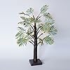 Product Photo 6