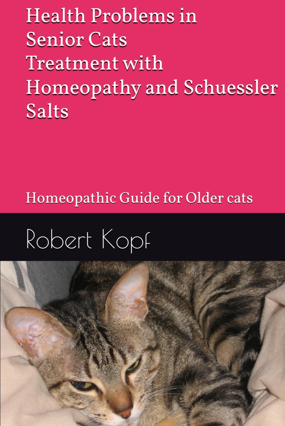 Health Problems in Senior Cats - Treatment with Homeopathy and Schuessler Salts: Homeopathic Guide for Older cats