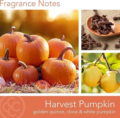 Vista 239 de Colonial Candle Vela perfumada en frasco, cilindros clásicos, brillo navideño, 2 mechas, 19 onzas, morado