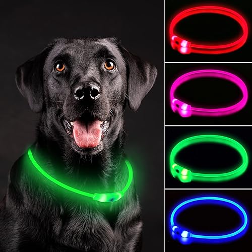 Collar de perro con luz LED, collar de perro con luz recargable, luces impermeables IP67 para caminar por la noche, collar de seguridad ajustable y