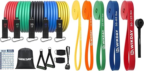 WIKDAY Bandas de resistencia, bandas de ejercicio, bandas de entrenamiento para ejercicio, bandas gruesas de resistencia pesada, bandas elásticas