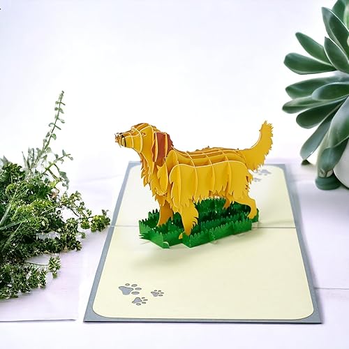 Miniatura 4 de Rykamia Golden Retriever - Tarjeta emergente tarjeta en blanco con sobre tarjeta de cumpleaños de perro tarjeta de cumpleaños Golden Retriever