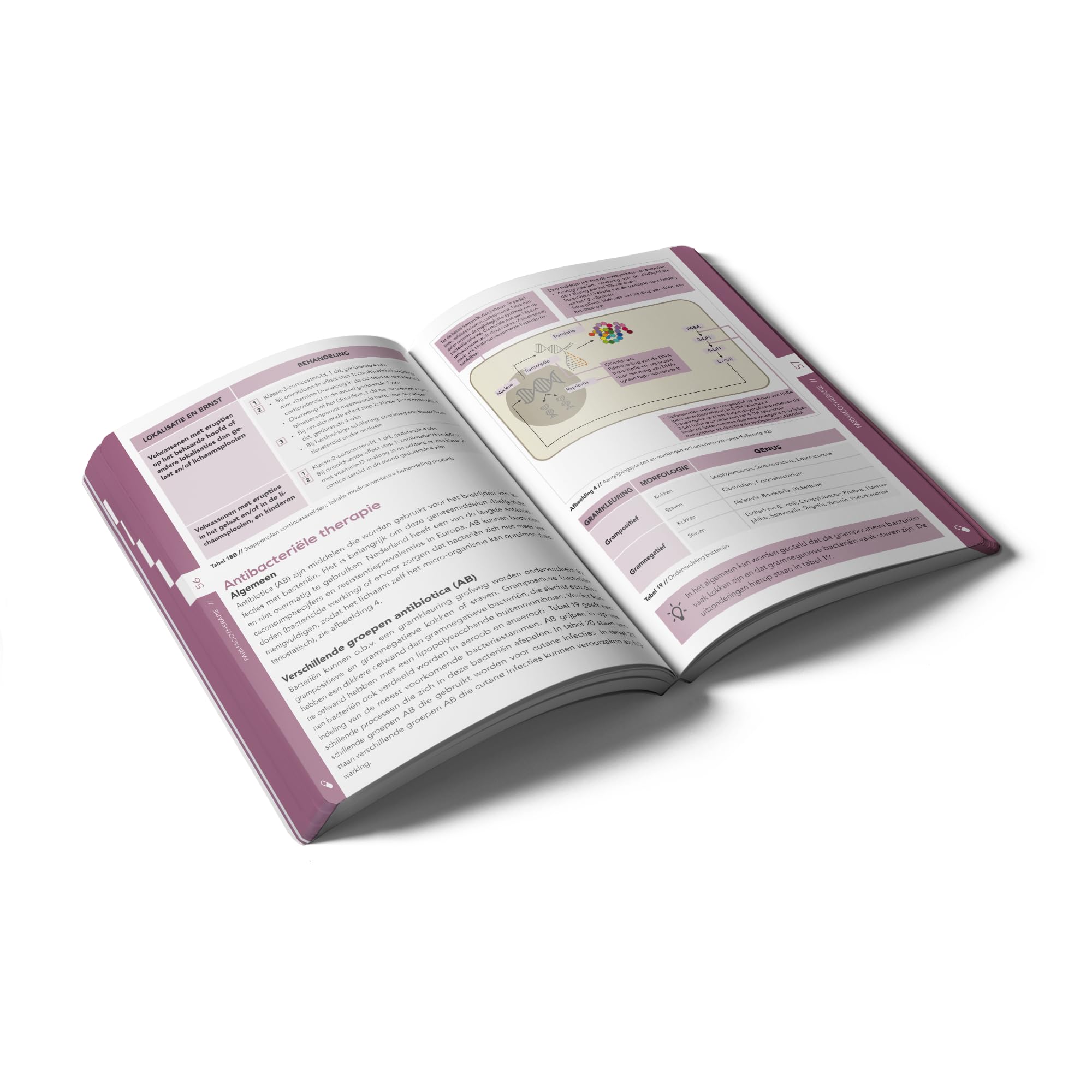Pocket Dermatology: An essential pocket-sized book on Dermatology.