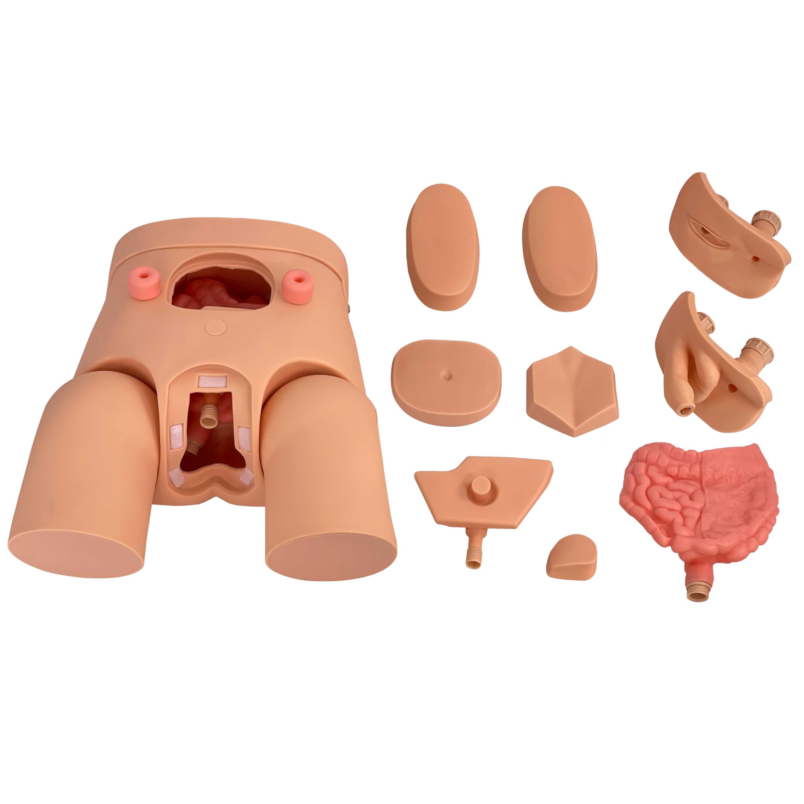Modèle de cathétérisme AMITD mannequin de soin homme et femme