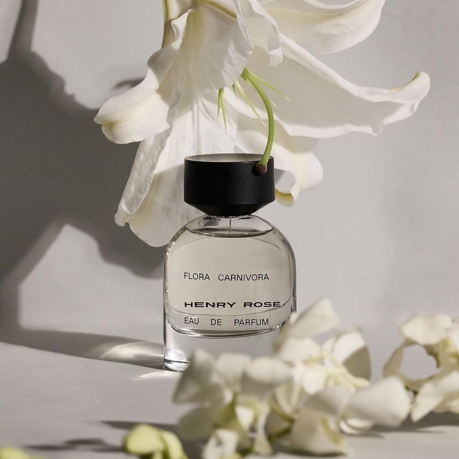 Henry Rose Travel Perfume for Women & Men - Mini Fragrance Mist with Jasmine, Tuberose, and Orange Blossom - Non Toxic, Floral Perfume and Unisex Fragrance - Flora Carnivora (0.27 fl oz) - Image 7