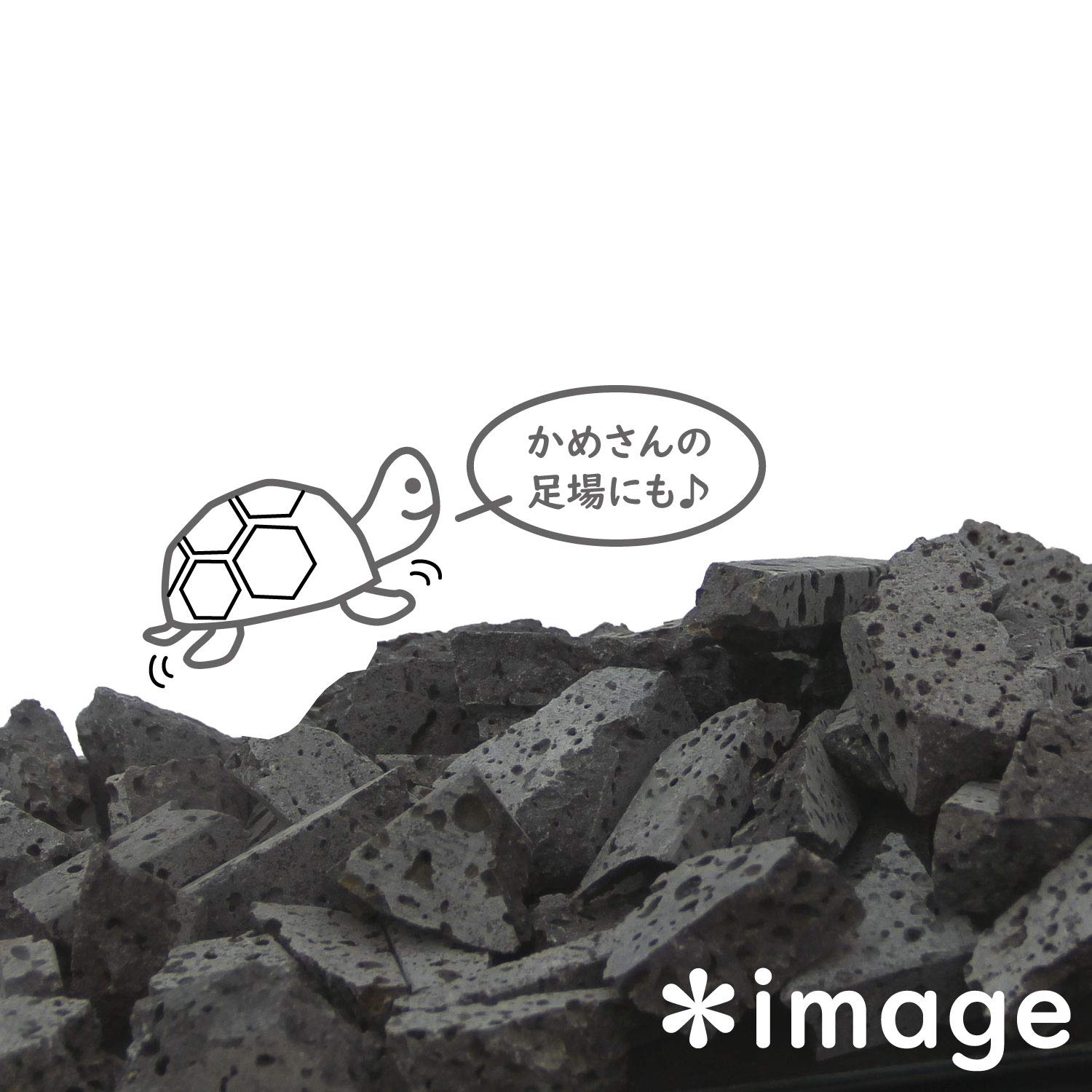 まん丸溶岩石　平たくて大きなサイズ　② 楽天市場】溶岩石 穴開きの通販