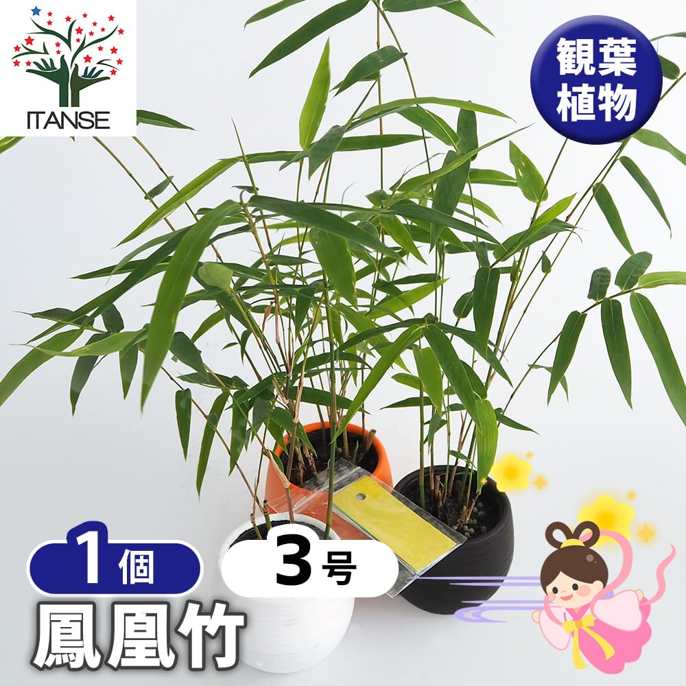 植物枝盛集 全10巻 植木枝盛集〈第10巻〉書簡・関係資料ほか | 植木 枝盛, 家永 三郎 |本