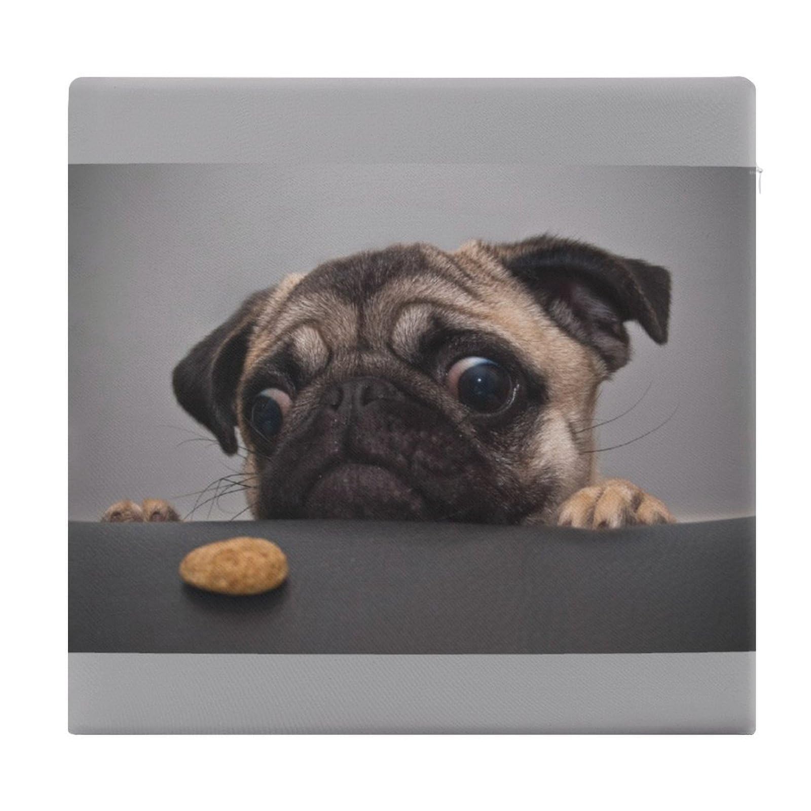 JZemdybill Chair Pad, Cute Pug Dog Seat Pad, Square Chair Cushion for Yoga Living Room Balcony