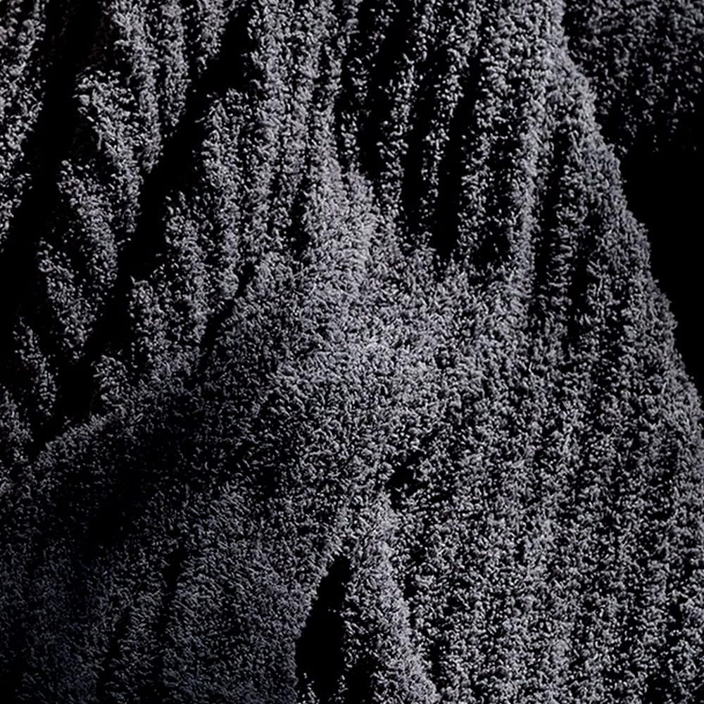 LUXOME Ultra Plush Throw Blanket | Super Soft | 75"x100" | Viscose & Polyester Blend | Extra Large | Charcoal (Dark Grey)