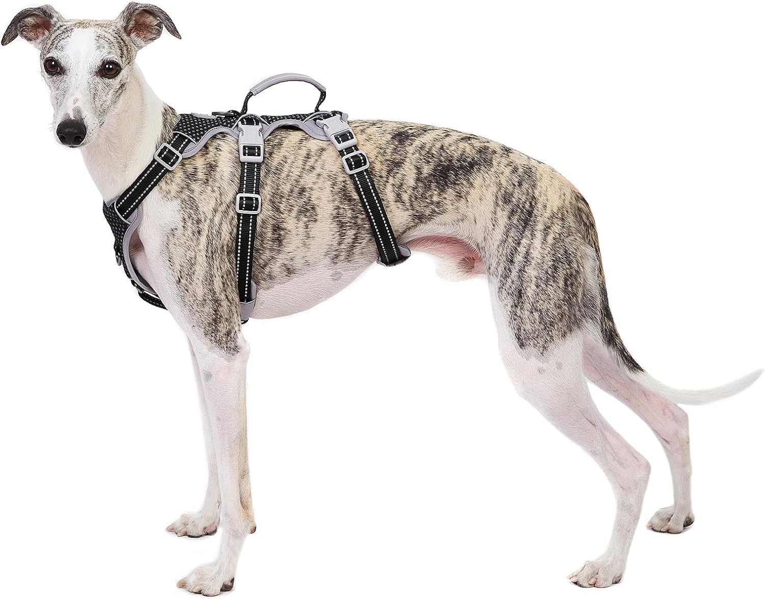 Huntboo Imbracatura a prova di fuga, imbracatura per cani antiscivolo a prova di fuga, imbracatura riflettente con maniglia, traspirante, regolabile per cani di piccola taglia da passeggio