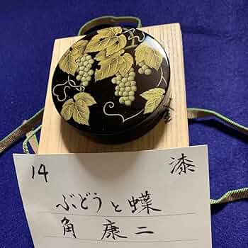 71nZaH2SVZL._AC_UF350,