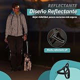 Ver la foto 4