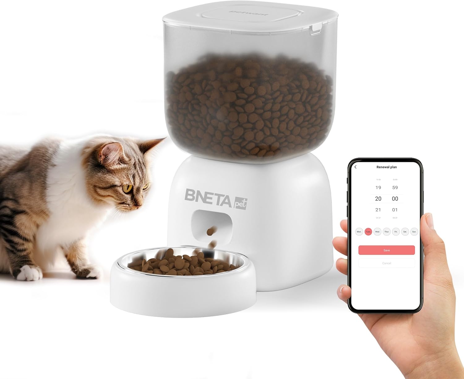 Bneta F14-W Smart Pet Feeder filled with kibble, with a cat and a hand holding a smartphone displaying the app interface.