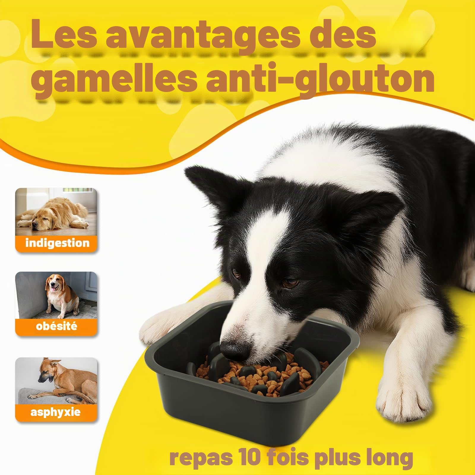 Gamelle pour Chien Surelevee et Réglable -Acier Inoxydable 1400ml + Anti-Glouton 1100ml + Voyage + Tapis- Support Gamelle Chien surélevée antidérapant pour Chiens de Taille Moyenne/Grande