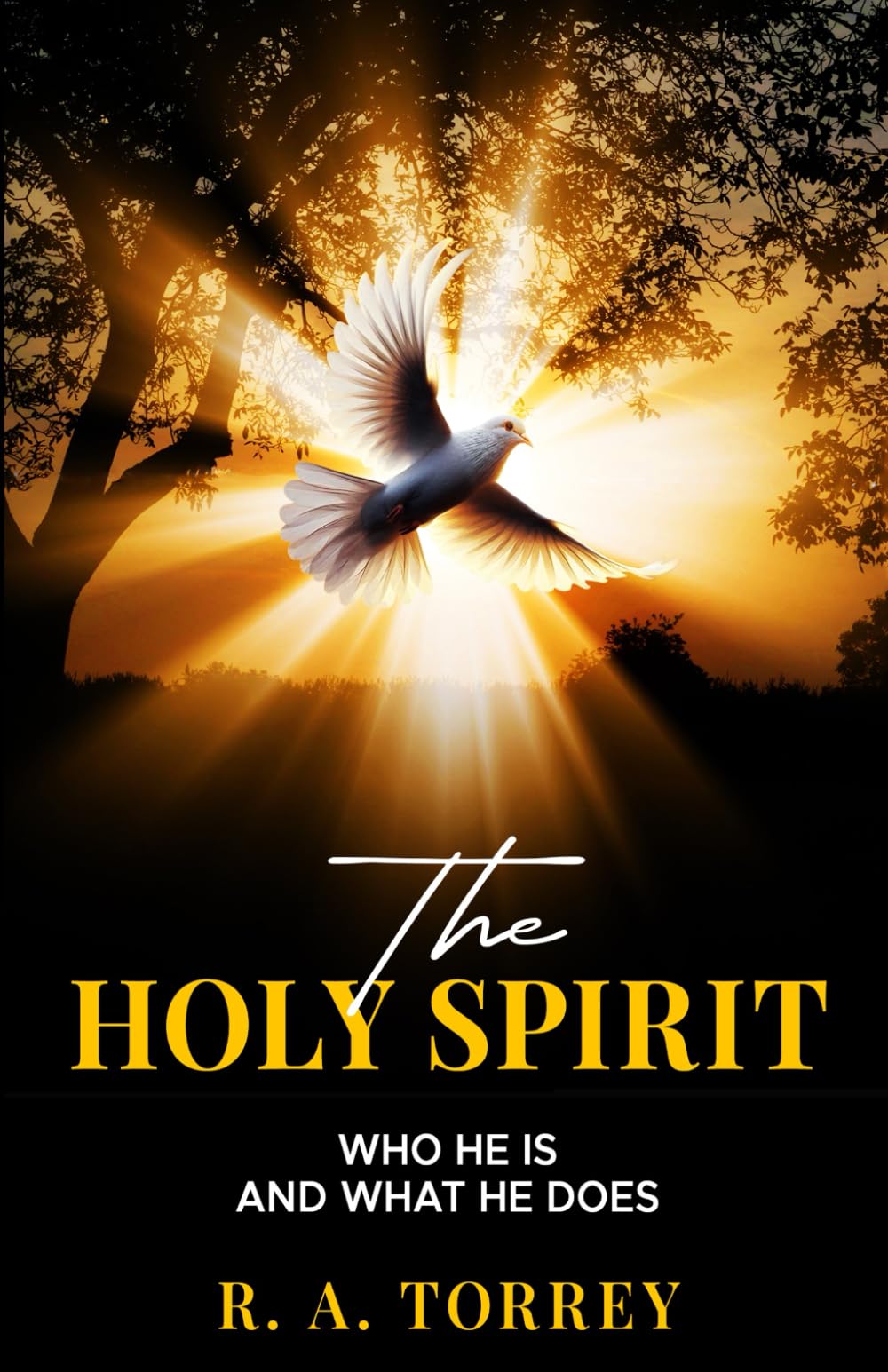 The Holy Spirit: Who He Is and What He Does and How to Know Him in All the Fullness of His Gracious and Glorious Ministry, with Small Group Discussion Questions