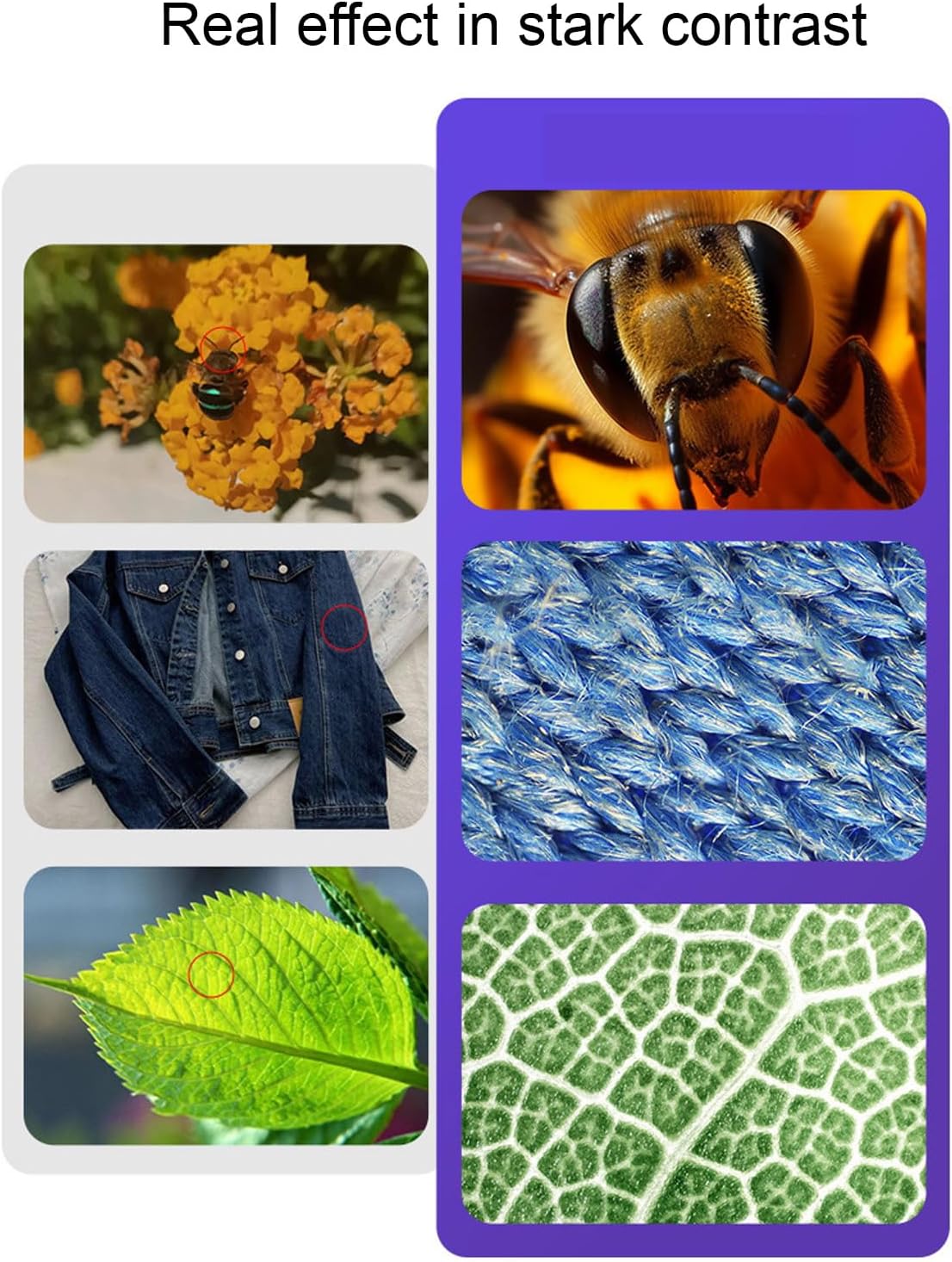 Kids Portable Digital Microscope 2.0in IPS HD Handheld Science Toy for Photography Video Education