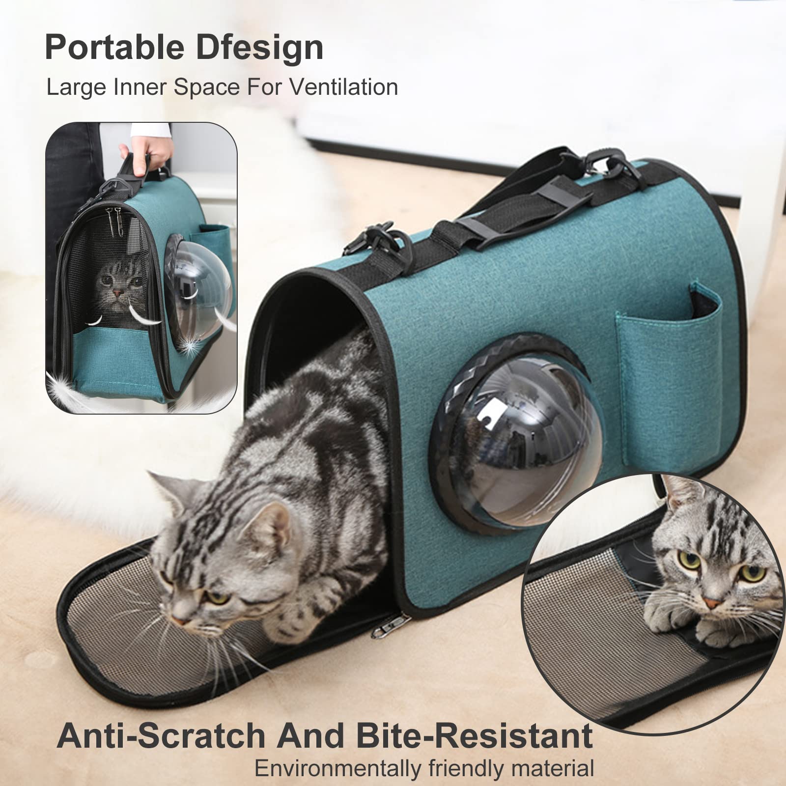 Trasportino PETCUTE Per Gatti | Capsula Spaziale Ventilata | Con Tracolla Regolabile | Approvato Per Aerei | Adatto Fino A 7 Kg | Tessuto Oxford