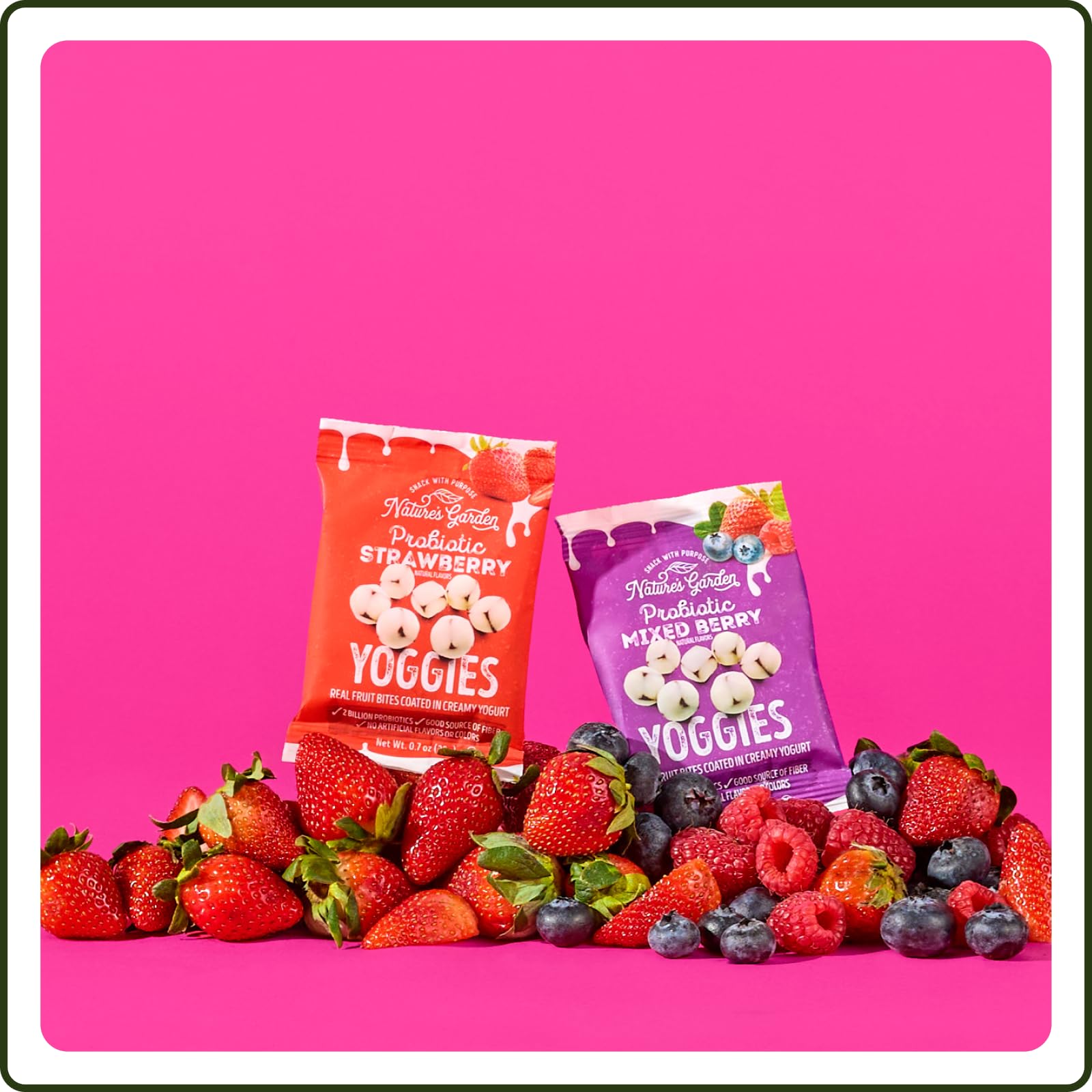 Amazon.com: Nature's Garden Probiotic Variety Pack Yoggies 21oz