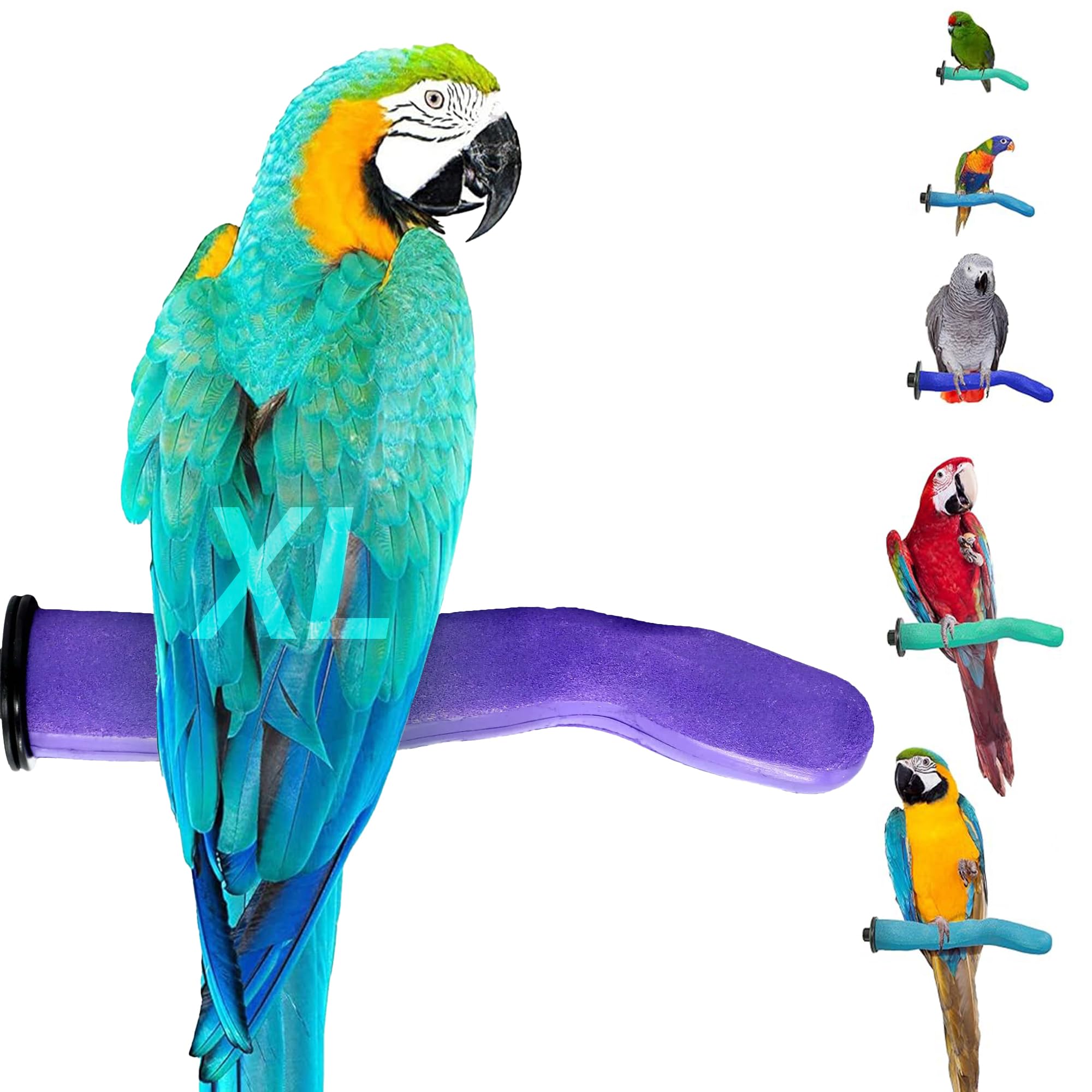 Sweet Feet and Beak Sicherheits-Bimssstangenspielzeug – mit echtem Bimsstein – Papageienspielzeug – fördert gesunde Füße – sicheres, ungiftiges Haustierzubehör und Zubehör für Vogelkäfige (XL, Violett)
