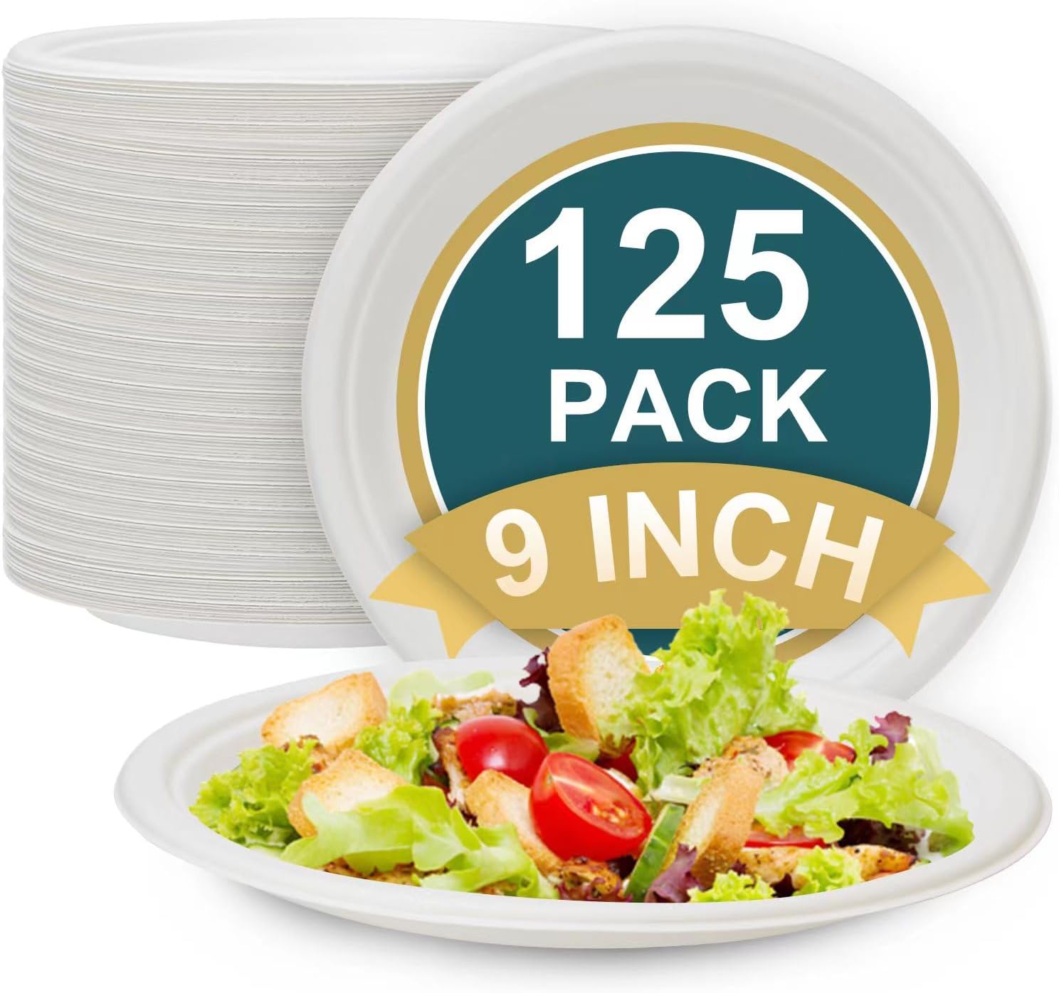 100 Compostable Paper Plates, 500 Pack 10 Inch Paper Plates, EcoFriendly Heavy
