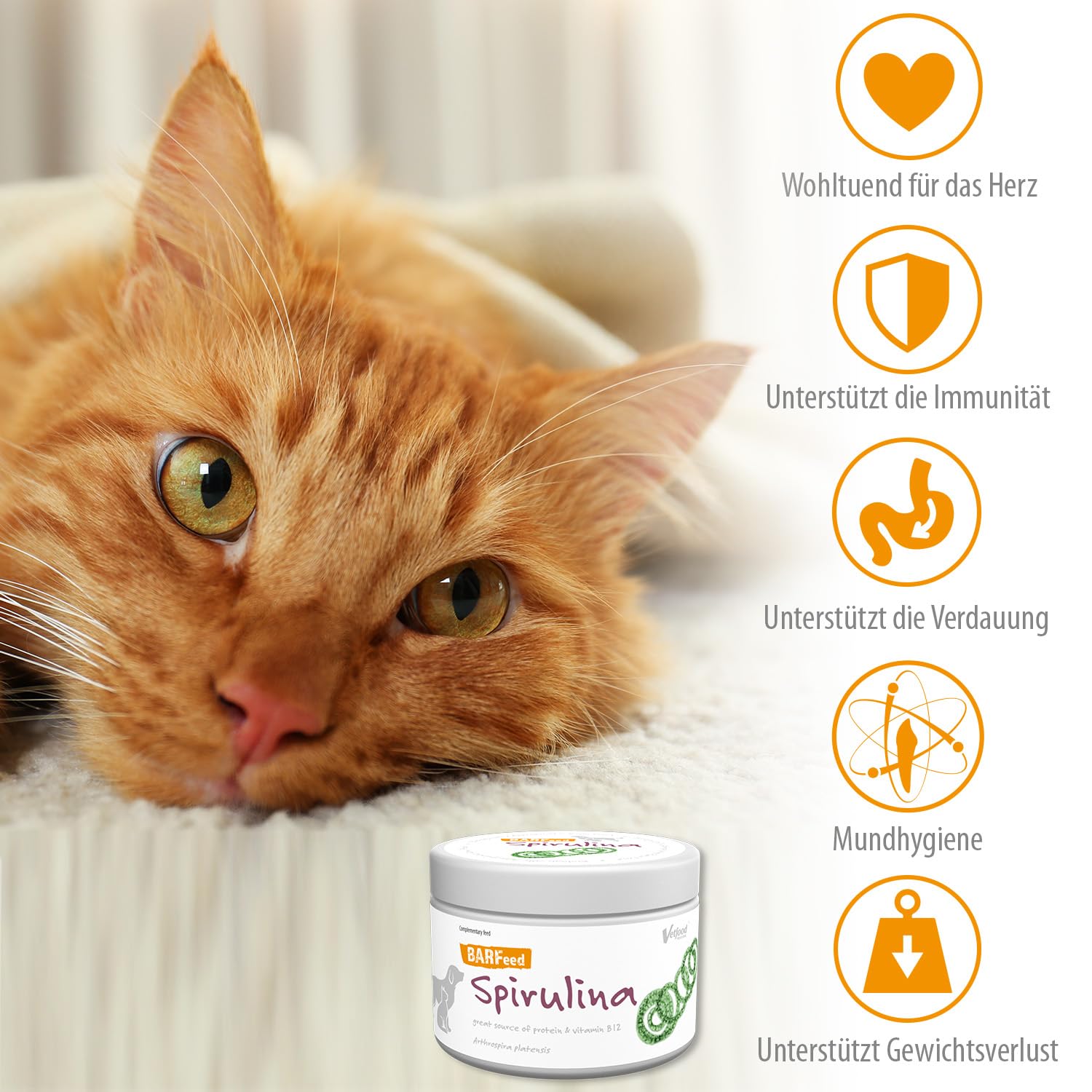 BARFeed Espirulina | Fuente de proteína y vitamina B12 | Barf para gatos y perros | Alimentación cruda | 200 g